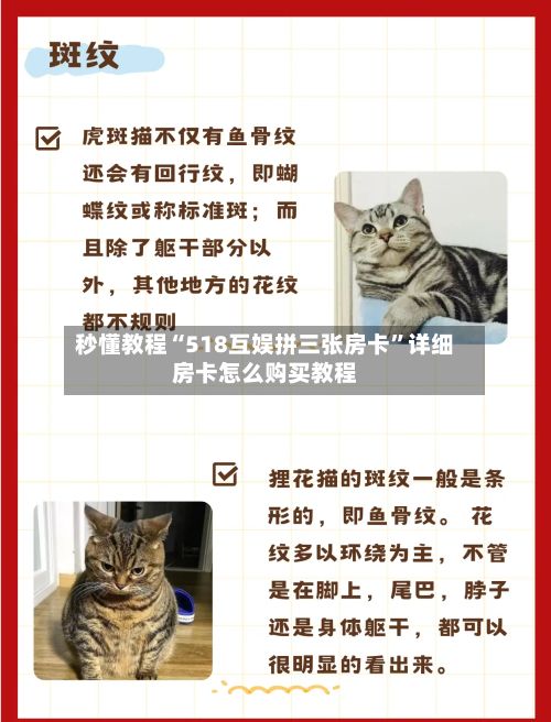 秒懂教程“518互娱拼三张房卡”详细房卡怎么购买教程-第2张图片