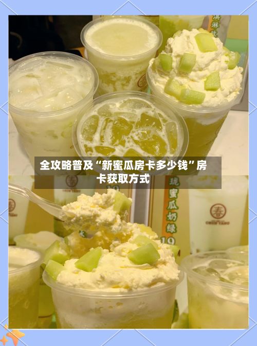 全攻略普及“新蜜瓜房卡多少钱”房卡获取方式-第2张图片