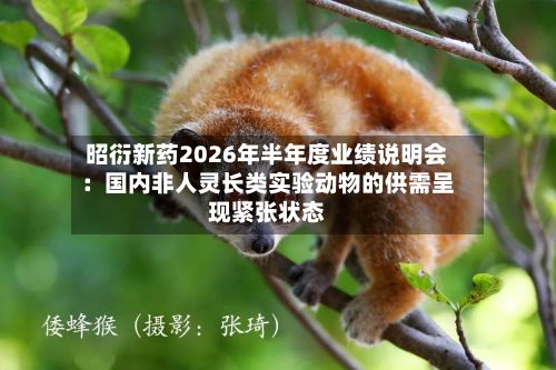 昭衍新药2026年半年度业绩说明会：国内非人灵长类实验动物的供需呈现紧张状态