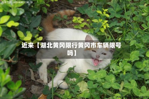 近来【湖北黄冈限行黄冈市车辆限号吗】