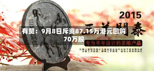 有赞：9月8日斥资87.15万港元回购70万股
