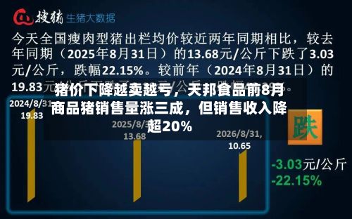 猪价下降越卖越亏，天邦食品前8月商品猪销售量涨三成，但销售收入降超20%-第3张图片