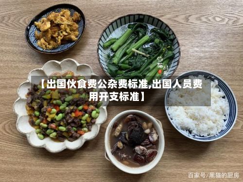 【出国伙食费公杂费标准,出国人员费用开支标准】