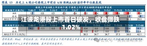 江波龙港股上市首日破发	，收盘微跌1.02%-第1张图片