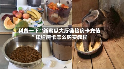 科普一下“新蜜瓜大厅链接房卡充值”详细房卡怎么购买教程-第2张图片