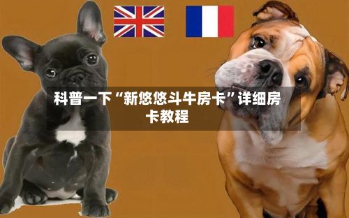 科普一下“新悠悠斗牛房卡	”详细房卡教程-第2张图片