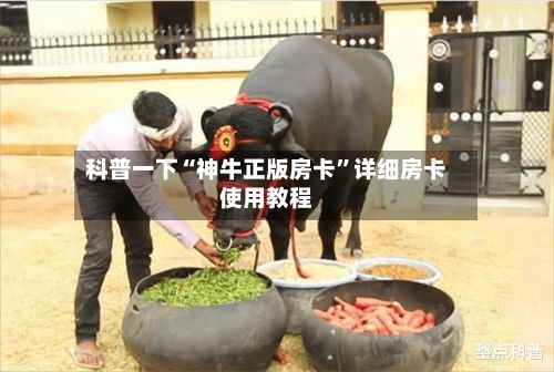 科普一下“神牛正版房卡”详细房卡使用教程-第2张图片