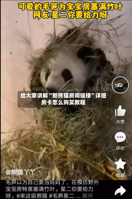 给大家讲解“新熊猫房间链接	”详细房卡怎么购买教程-第3张图片