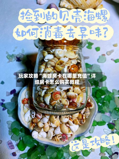 玩家攻略“海螺房卡在哪里充值”详细房卡怎么购买教程