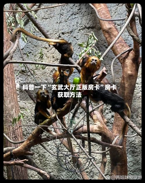科普一下“玄武大厅正版房卡”房卡获取方法-第2张图片