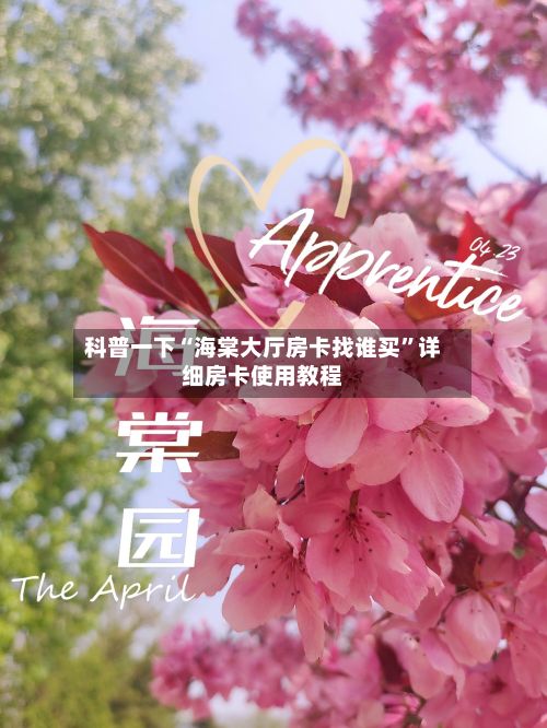 科普一下“海棠大厅房卡找谁买”详细房卡使用教程-第2张图片