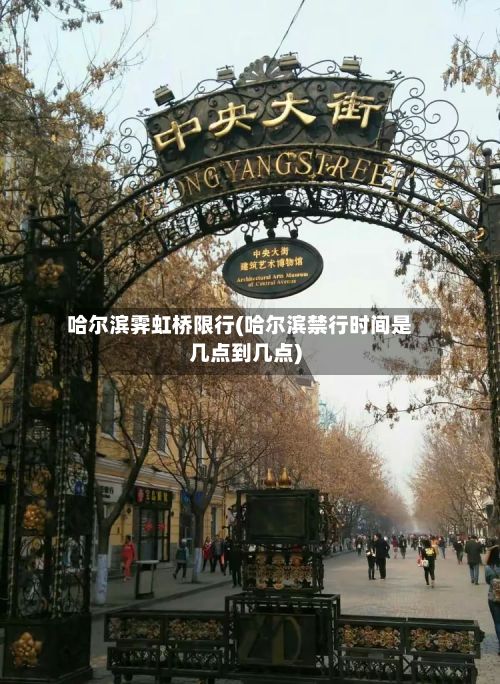 哈尔滨霁虹桥限行(哈尔滨禁行时间是几点到几点)-第3张图片