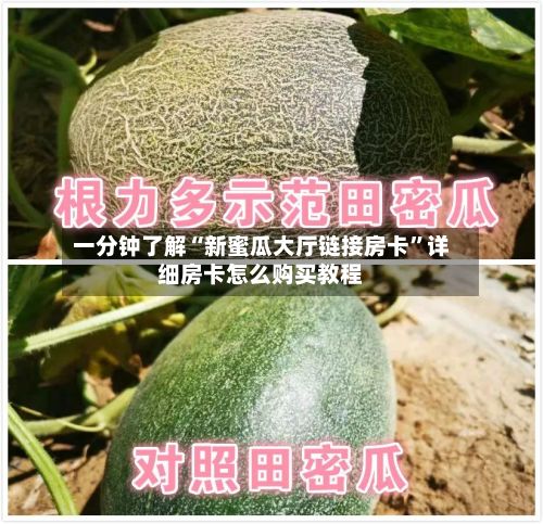 一分钟了解“新蜜瓜大厅链接房卡”详细房卡怎么购买教程