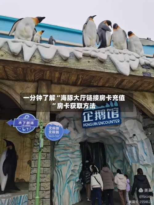 一分钟了解“海豚大厅链接房卡充值”房卡获取方法