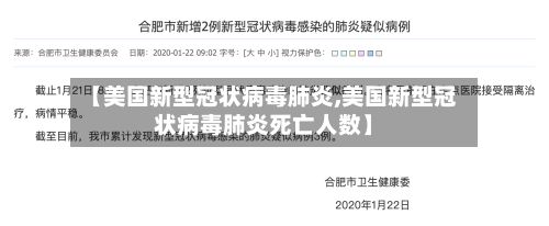 【美国新型冠状病毒肺炎,美国新型冠状病毒肺炎死亡人数】