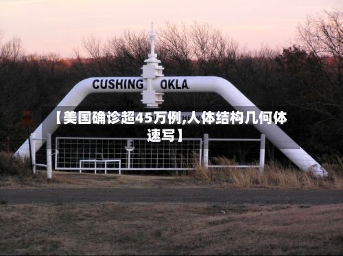 【美国确诊超45万例,人体结构几何体速写】
