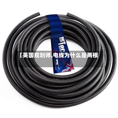 【英国规划师,电线为什么是两根】-第2张图片