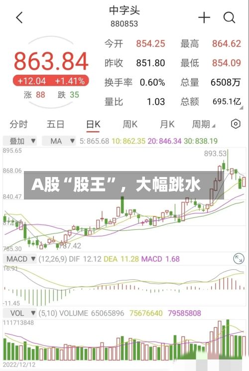 A股“股王	”，大幅跳水-第3张图片