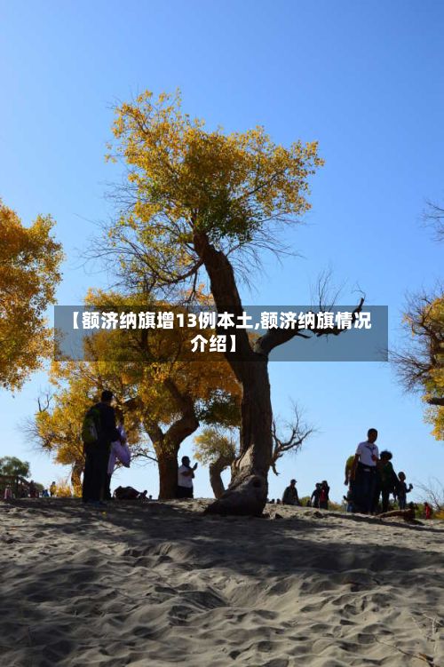 【额济纳旗增13例本土,额济纳旗情况介绍】-第2张图片