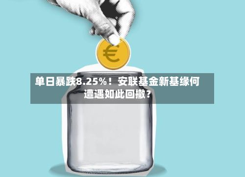 单日暴跌8.25%！安联基金新基缘何遭遇如此回撤？