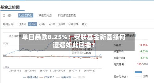 单日暴跌8.25%！安联基金新基缘何遭遇如此回撤？-第2张图片