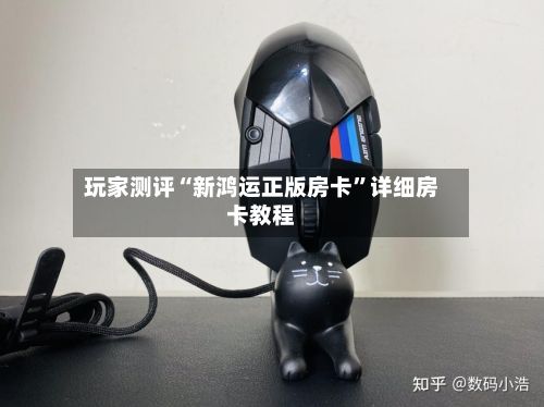 玩家测评“新鸿运正版房卡”详细房卡教程-第2张图片