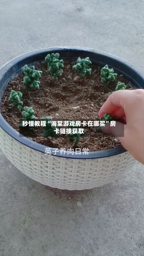 秒懂教程“海棠游戏房卡在哪买”房卡链接获取