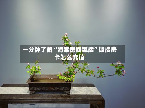 一分钟了解“海棠房间链接”链接房卡怎么充值-第3张图片