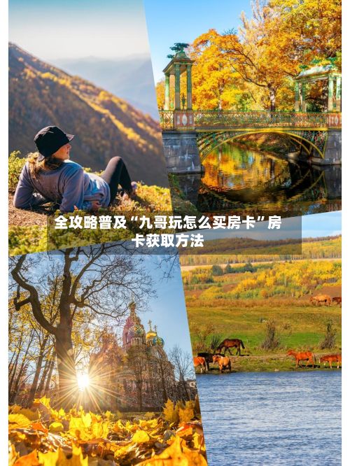 全攻略普及“九哥玩怎么买房卡”房卡获取方法-第2张图片