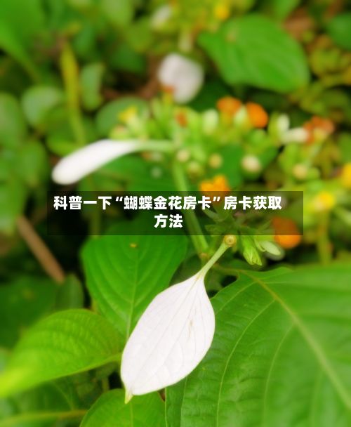 科普一下“蝴蝶金花房卡	”房卡获取方法-第2张图片