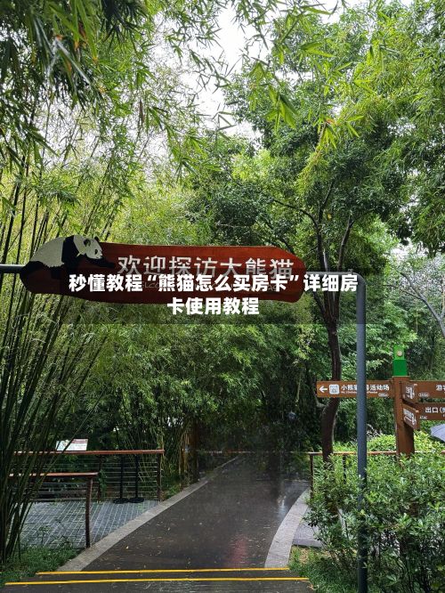 秒懂教程“熊猫怎么买房卡”详细房卡使用教程-第3张图片