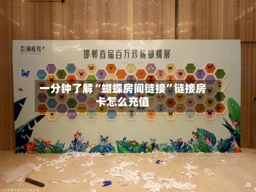 一分钟了解“蝴蝶房间链接”链接房卡怎么充值-第2张图片
