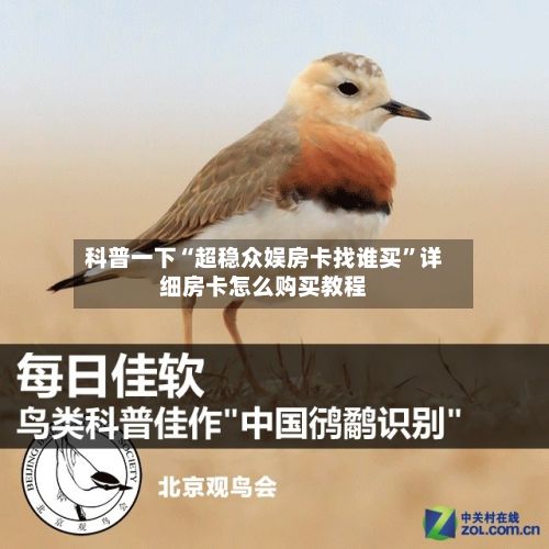 科普一下“超稳众娱房卡找谁买”详细房卡怎么购买教程-第2张图片