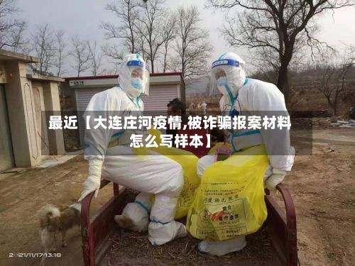 最近【大连庄河疫情,被诈骗报案材料怎么写样本】-第3张图片