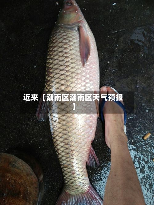 近来【潮南区潮南区天气预报】