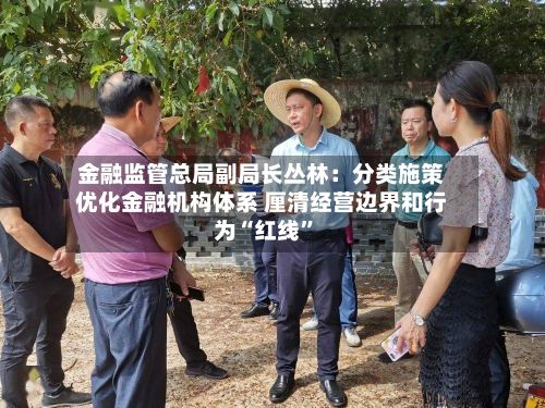 金融监管总局副局长丛林：分类施策优化金融机构体系 厘清经营边界和行为“红线”-第3张图片
