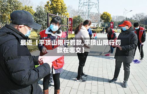 最近【平顶山限行罚款,平顶山限行罚款在哪交】