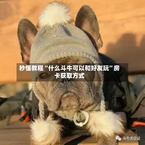 秒懂教程“什么斗牛可以和好友玩	”房卡获取方式-第2张图片