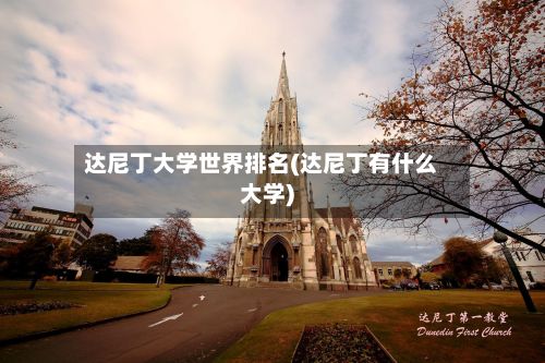 达尼丁大学世界排名(达尼丁有什么大学)-第2张图片