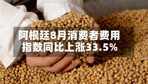 阿根廷8月消费者费用指数同比上涨33.5%