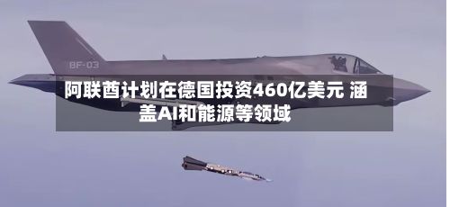 阿联酋计划在德国投资460亿美元 涵盖AI和能源等领域-第3张图片