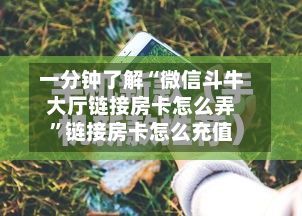 一分钟了解“微信斗牛大厅链接房卡怎么弄	”链接房卡怎么充值-第2张图片