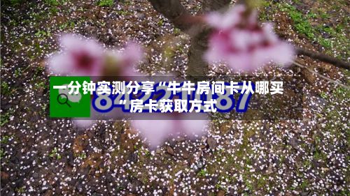 一分钟实测分享“牛牛房间卡从哪买”房卡获取方式-第3张图片