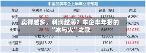 卖得越多	，利润越薄？车企半年报的“冰与火	”之歌-第2张图片
