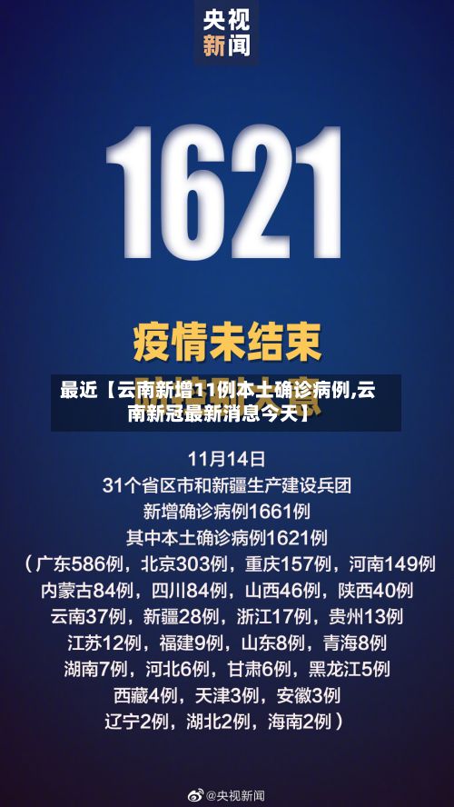 最近【云南新增11例本土确诊病例,云南新冠最新消息今天】-第2张图片