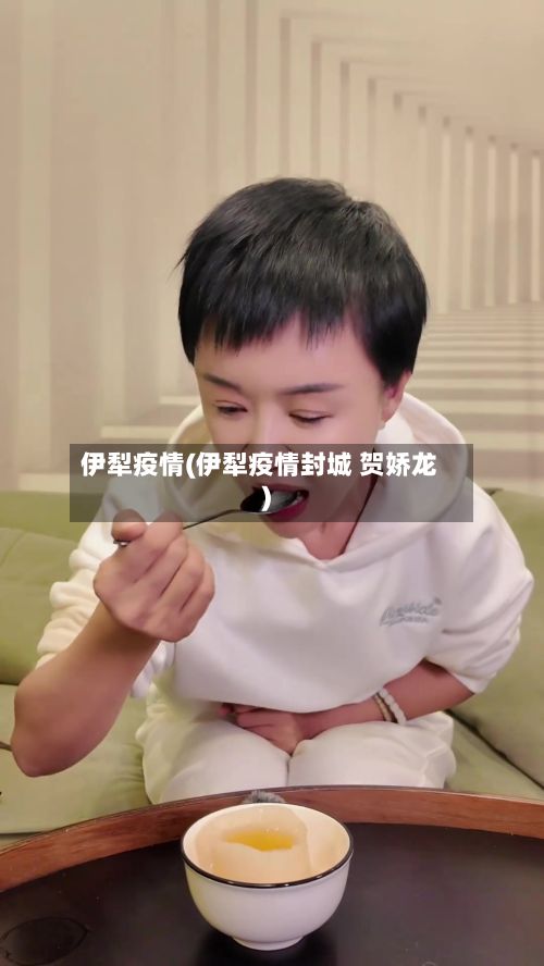 伊犁疫情(伊犁疫情封城 贺娇龙)-第2张图片