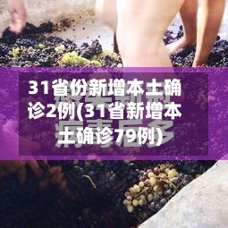 31省份新增本土确诊2例(31省新增本土确诊79例)