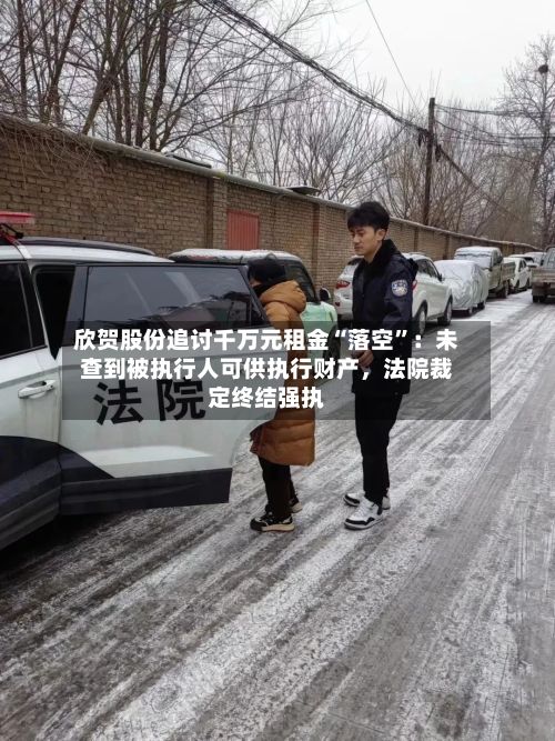 欣贺股份追讨千万元租金“落空”：未查到被执行人可供执行财产	，法院裁定终结强执-第2张图片
