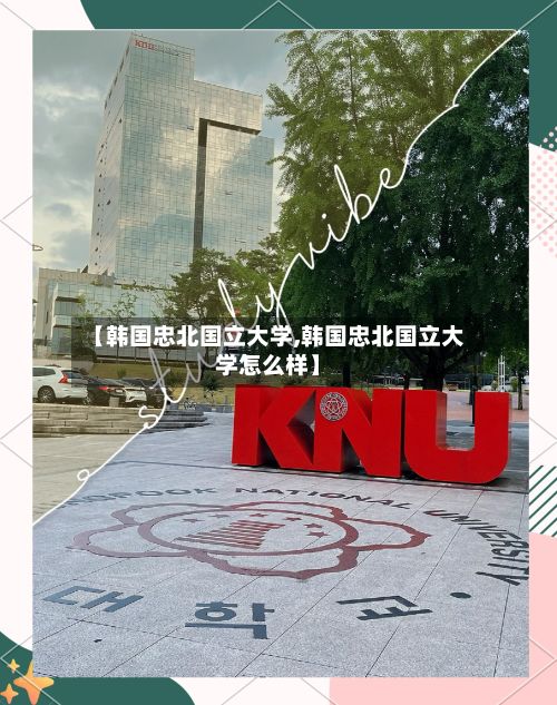 【韩国忠北国立大学,韩国忠北国立大学怎么样】