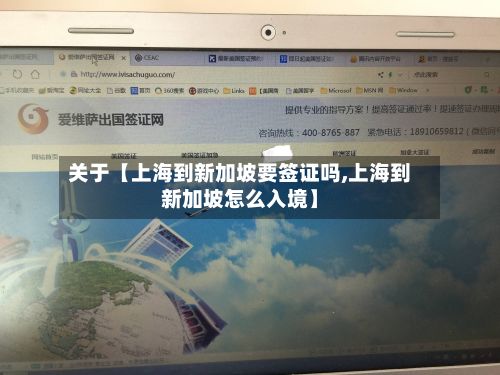 关于【上海到新加坡要签证吗,上海到新加坡怎么入境】-第3张图片